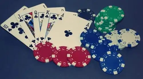 11q bet